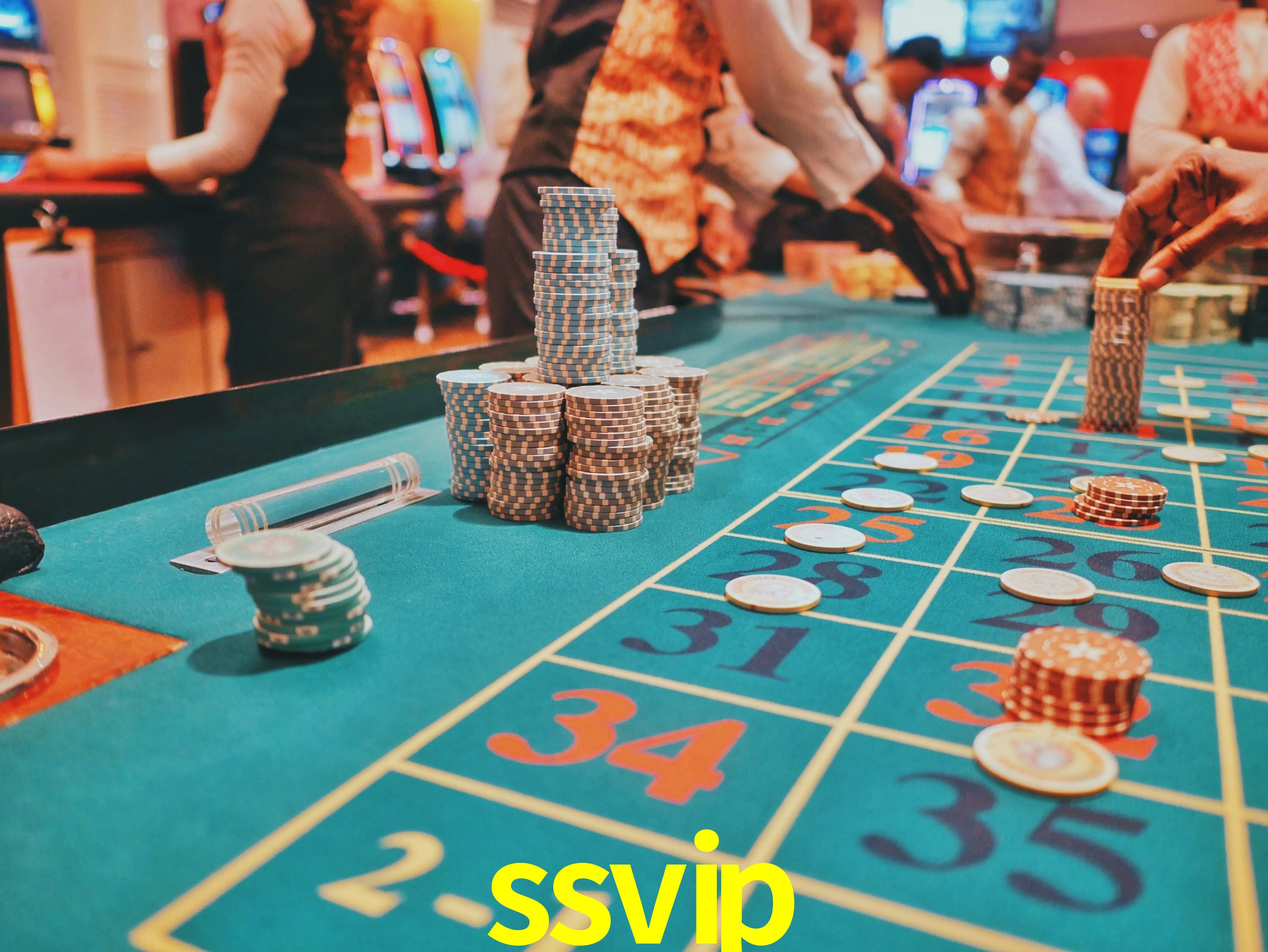 Sports Statistics ssvip
